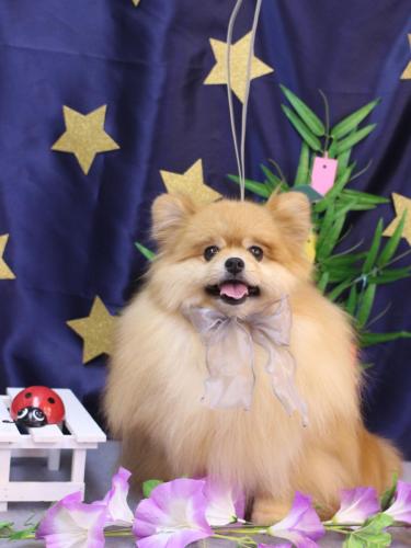 20230714梛都ちゃん